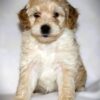 Oliver😉 Click on Me!! - Image 16