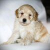 Oliver😉 Click on Me!! - Image 5