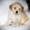 Oliver😉 Click on Me!! - Image 6
