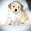 Oliver😉 Click on Me!! - Image 7