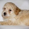 Oliver😉 Click on Me!! - Image 8
