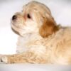 Oliver😉 Click on Me!! - Image 9
