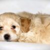 Oliver😉 Click on Me!! - Image 13