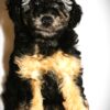 Vivian 😉 Click on Me!! - Image 11