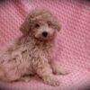 Elsa 😉 Click on Me!! - Image 6