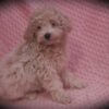 Elsa 😉 Click on Me!! - Image 7