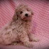 Elsa 😉 Click on Me!! - Image 8