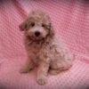 Elsa 😉 Click on Me!! - Image 9