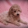 Elsa 😉 Click on Me!! - Image 11