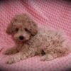Elsa 😉 Click on Me!! - Image 15