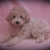 Elsa 😉 Click on Me!! - Image 19