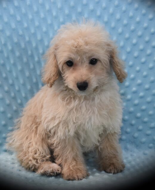 Milo 😉 Click on Me!!