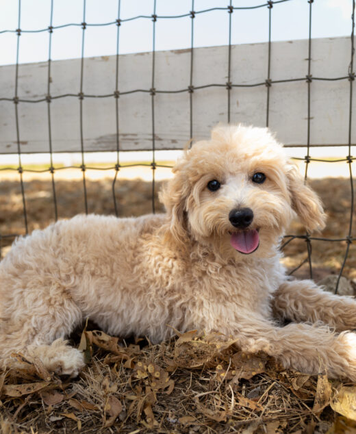 Milo 😉 Click on Me!!